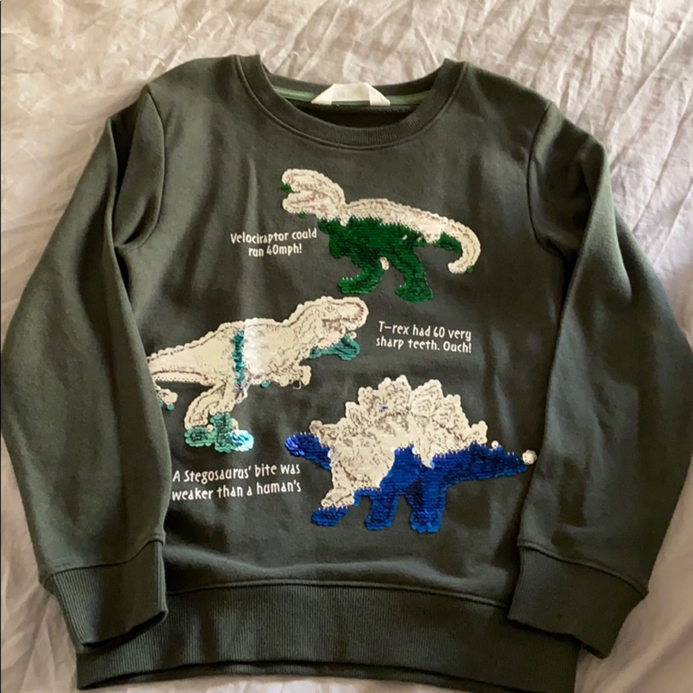 Dinosaur sweater 6-8y